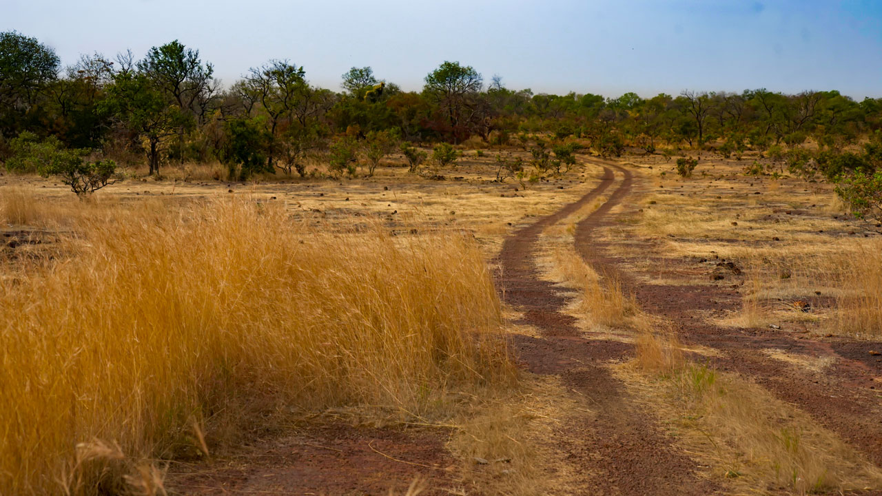 safari parc niokolo koba